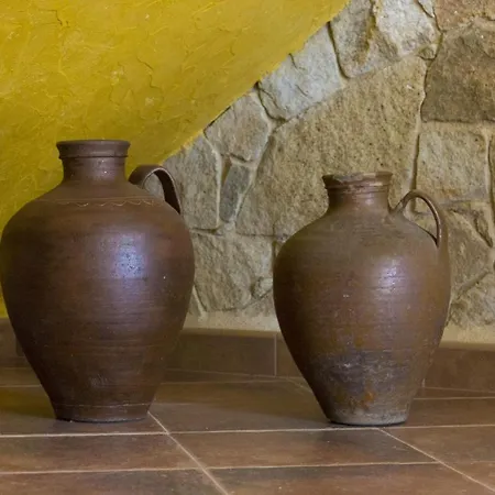 カントリーハウス Casa Rural De Lujo Soles Villasrubias